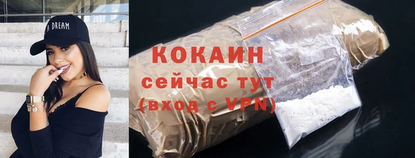 гашик Корсаков